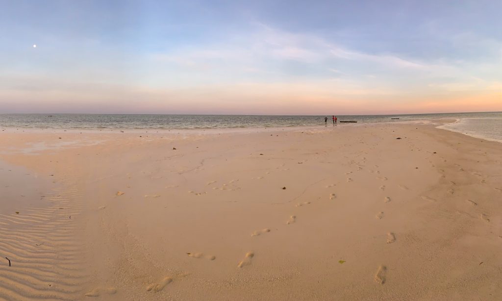 Sardegna 2, Kenya