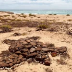 Boavista: vento, villaggi e consigli per un viaggio tra spiagge e natura.